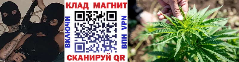 COCAIN Губкинский