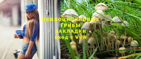 соль курить ск Белокуриха